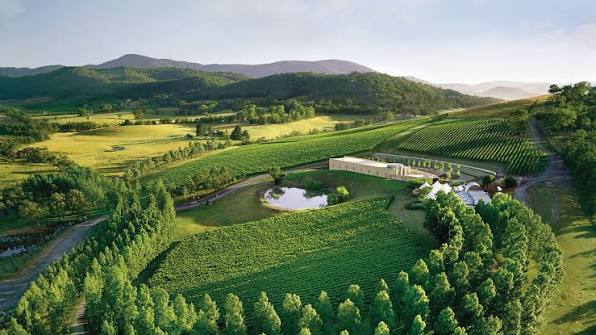 Yarra Valley Country Roads, Yarra Valley, VIC