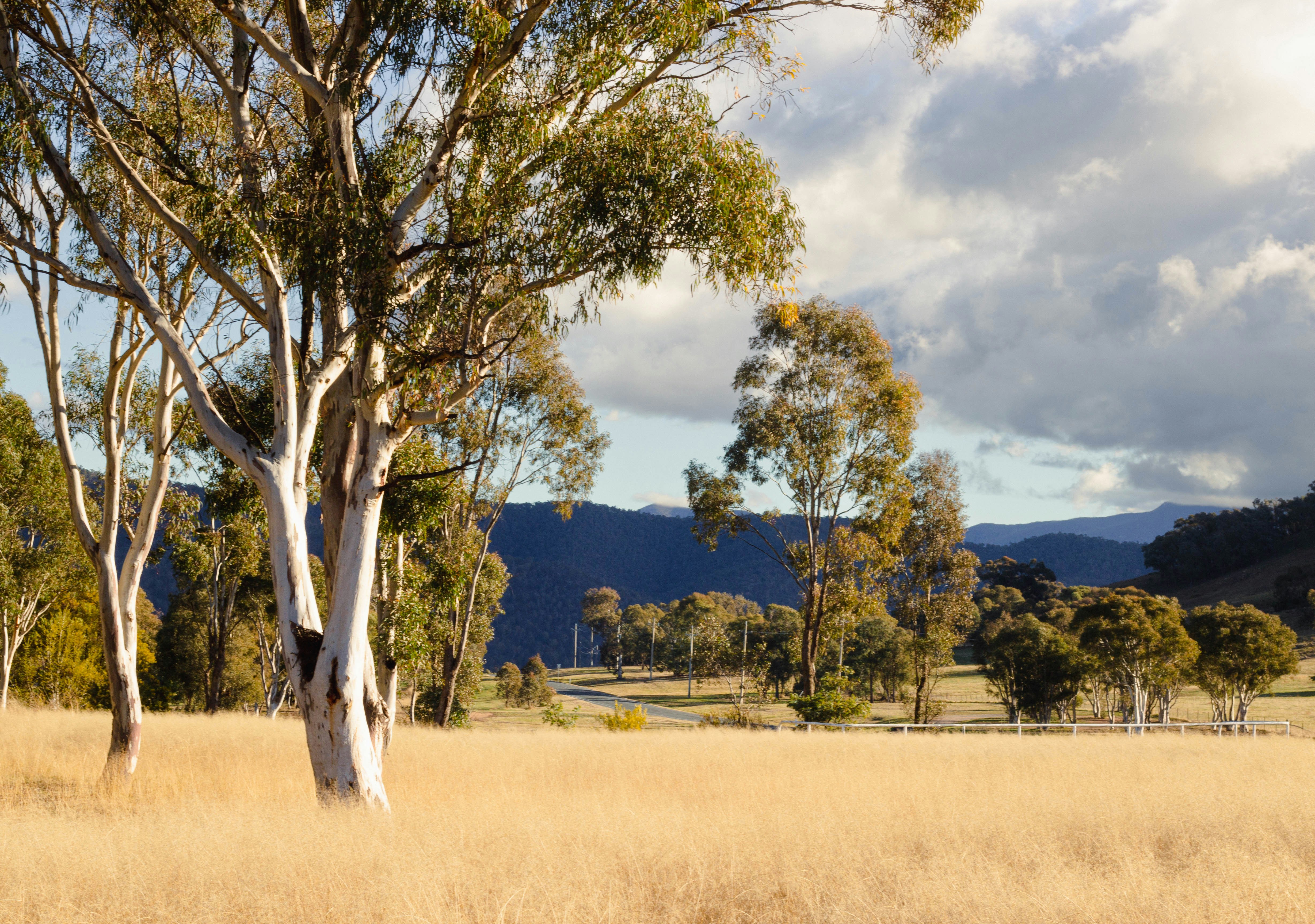 A winding road through Australian hill country