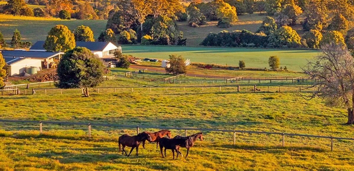 A quiet hill-country town