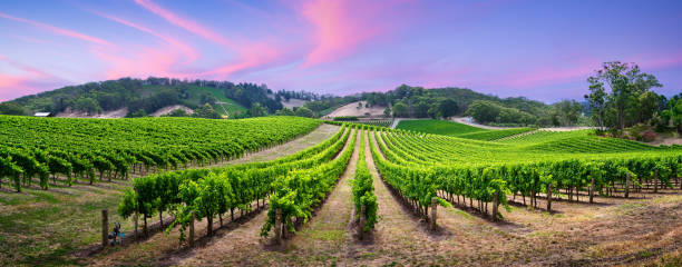 Adelaide Hills, South Australia